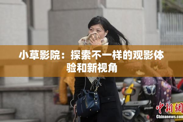 小草影院：探索不一样的观影体验和新视角