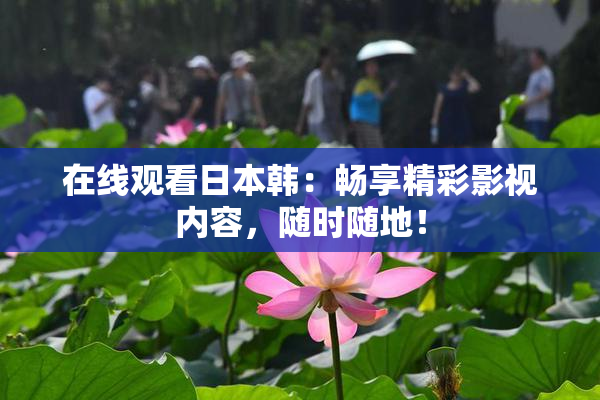 在线观看日本韩：畅享精彩影视内容，随时随地！
