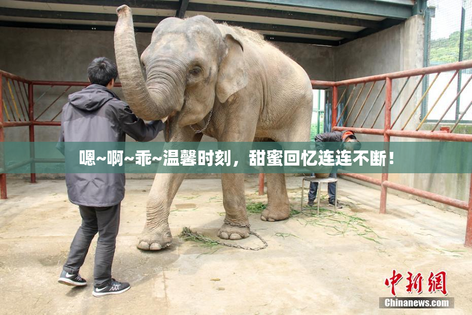 嗯~啊~乖~温馨时刻，甜蜜回忆连连不断！