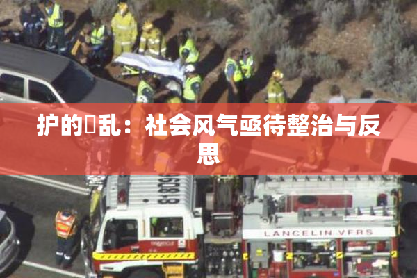 护的婬乱：社会风气亟待整治与反思
