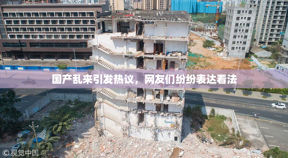 国产乱来引发热议，网友们纷纷表达看法