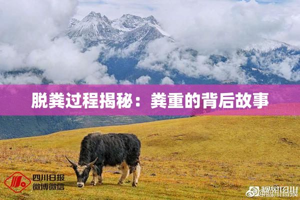 脱粪过程揭秘：粪重的背后故事