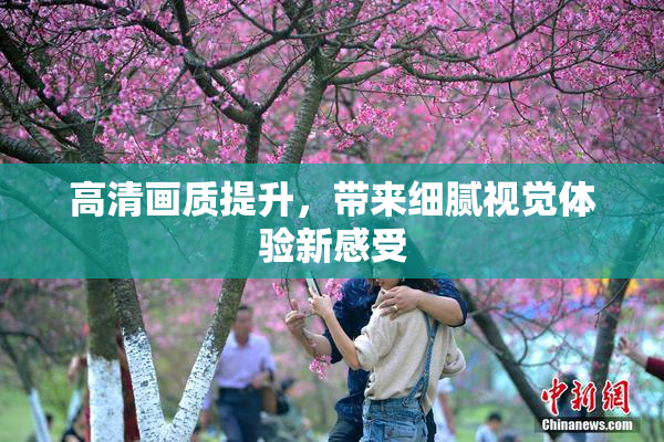 高清画质提升，带来细腻视觉体验新感受