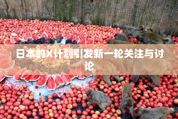 日本的X计划引发新一轮关注与讨论