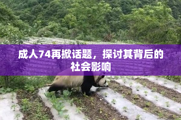 成人74再掀话题，探讨其背后的社会影响