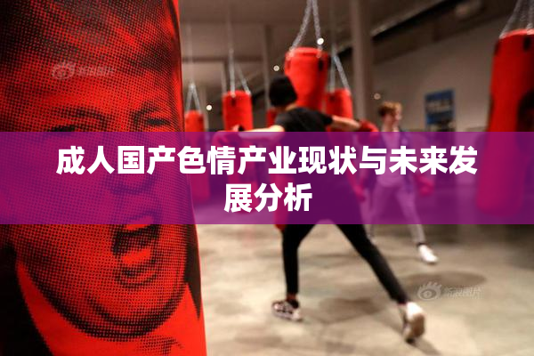 成人国产色情产业现状与未来发展分析