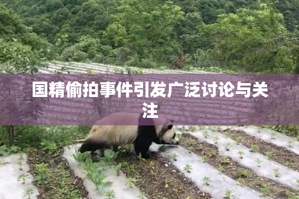 国精偷拍事件引发广泛讨论与关注
