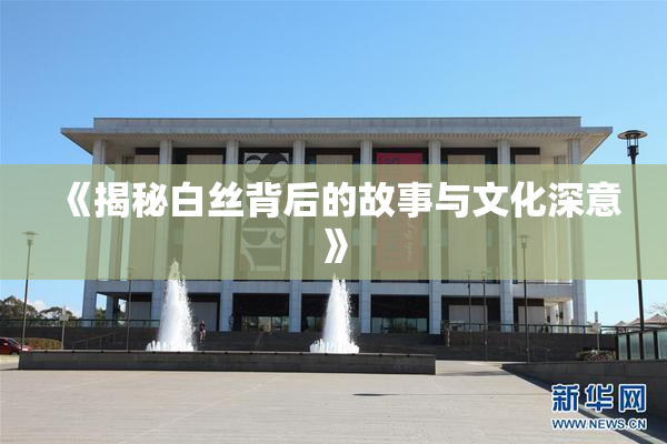 《揭秘白丝背后的故事与文化深意》