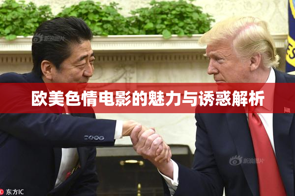 欧美色情电影的魅力与诱惑解析