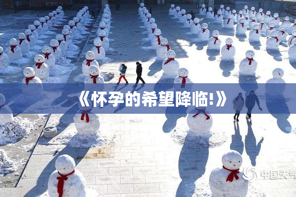 《怀孕的希望降临!》