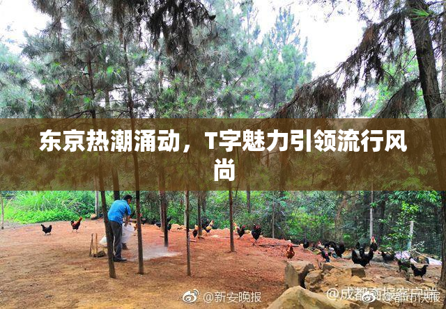 东京热潮涌动，T字魅力引领流行风尚