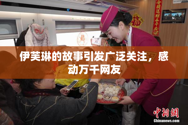 伊芙琳的故事引发广泛关注，感动万千网友