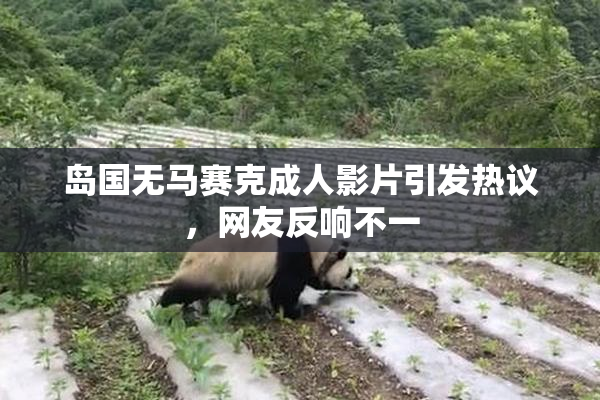 岛国无马赛克成人影片引发热议，网友反响不一