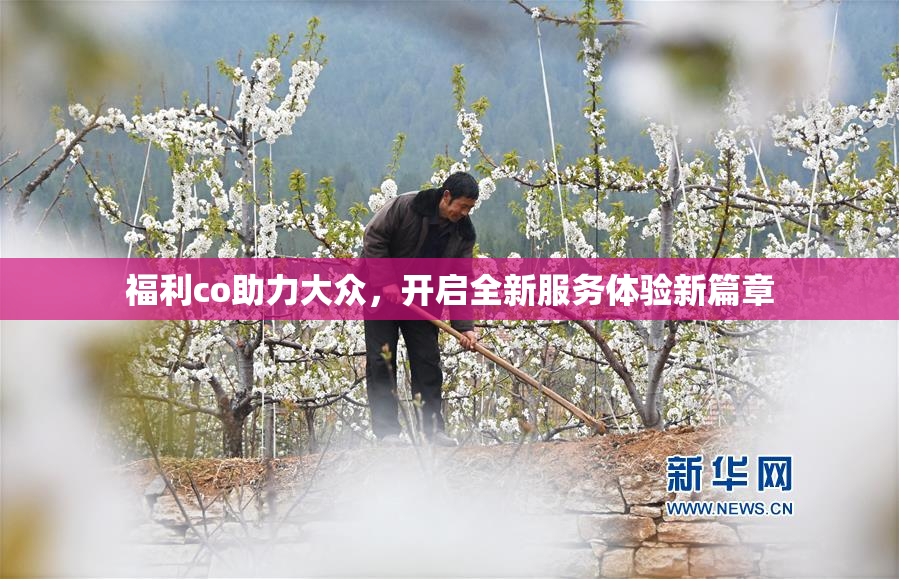 福利co助力大众，开启全新服务体验新篇章