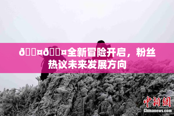 🐤🐤全新冒险开启，粉丝热议未来发展方向