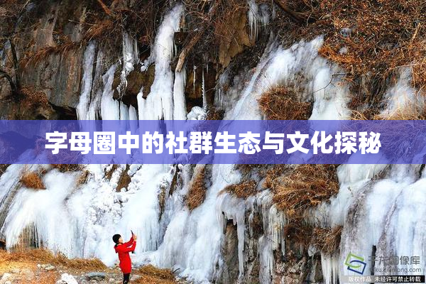 字母圈中的社群生态与文化探秘