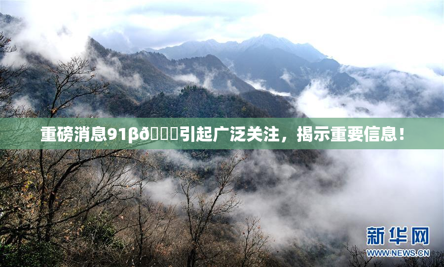 重磅消息91β🍆引起广泛关注，揭示重要信息！