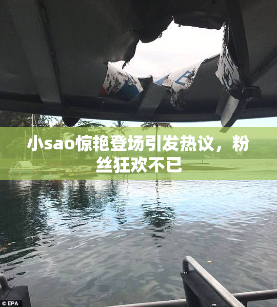 小sao惊艳登场引发热议，粉丝狂欢不已