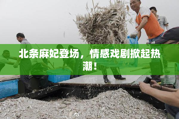 北条麻妃登场，情感戏剧掀起热潮！