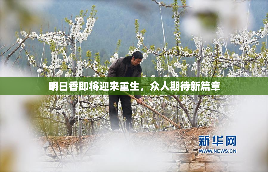 明日香即将迎来重生，众人期待新篇章