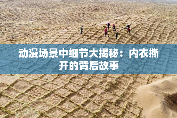 动漫场景中细节大揭秘：内衣撕开的背后故事