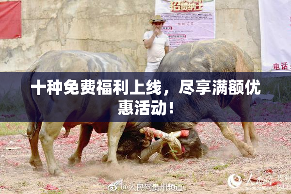 十种免费福利上线，尽享满额优惠活动！