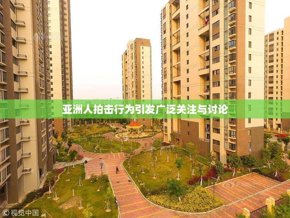亚洲人拍击行为引发广泛关注与讨论