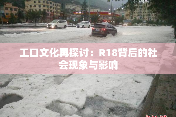 工口文化再探讨：R18背后的社会现象与影响