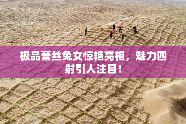 极品蕾丝兔女惊艳亮相，魅力四射引人注目！