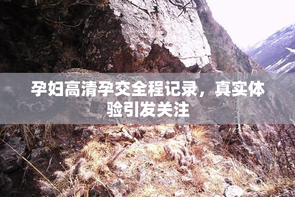 孕妇高清孕交全程记录，真实体验引发关注