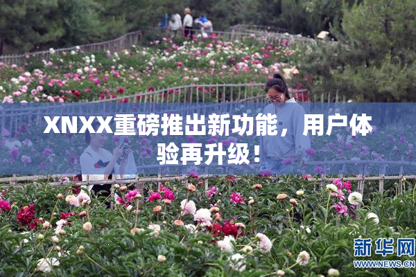 XNXX重磅推出新功能，用户体验再升级！