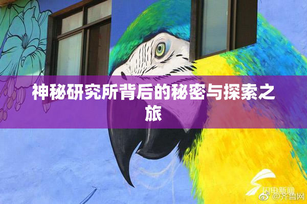 神秘研究所背后的秘密与探索之旅