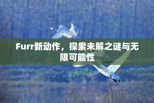 Furr新动作，探索未解之谜与无限可能性