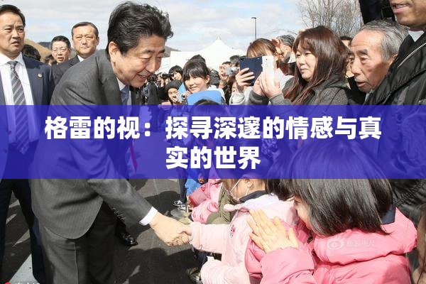格雷的视：探寻深邃的情感与真实的世界