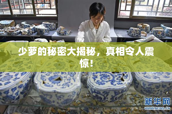 少萝的秘密大揭秘，真相令人震惊！