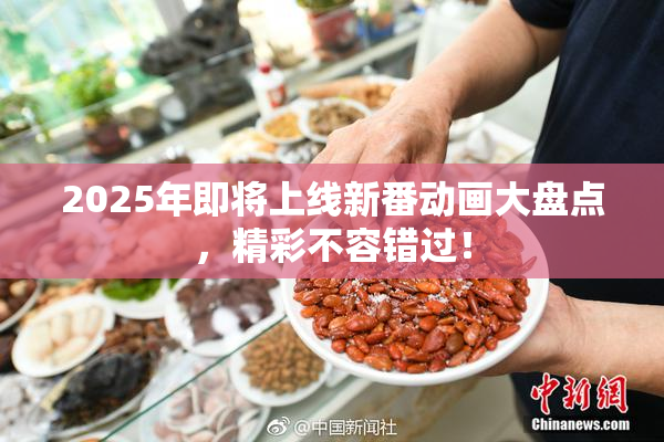 2025年即将上线新番动画大盘点，精彩不容错过！