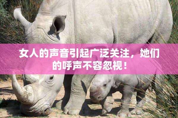 女人的声音引起广泛关注，她们的呼声不容忽视！