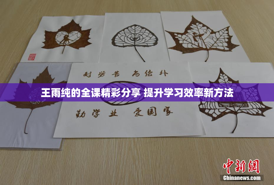 王雨纯的全课精彩分享 提升学习效率新方法