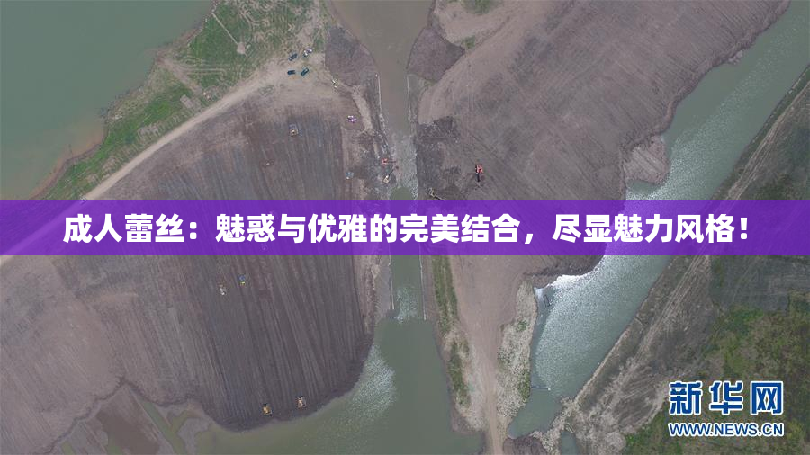 成人蕾丝：魅惑与优雅的完美结合，尽显魅力风格！
