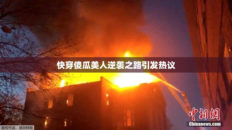 快穿傻瓜美人逆袭之路引发热议