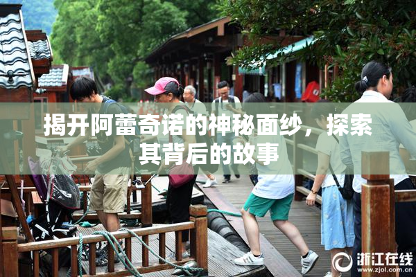 揭开阿蕾奇诺的神秘面纱，探索其背后的故事