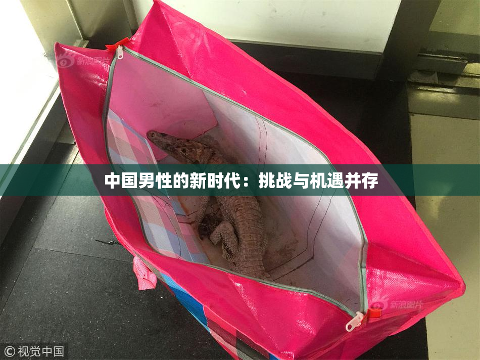 中国男性的新时代：挑战与机遇并存