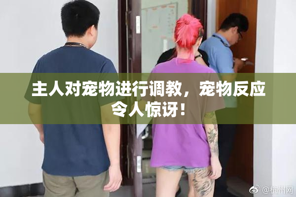主人对宠物进行调教，宠物反应令人惊讶！