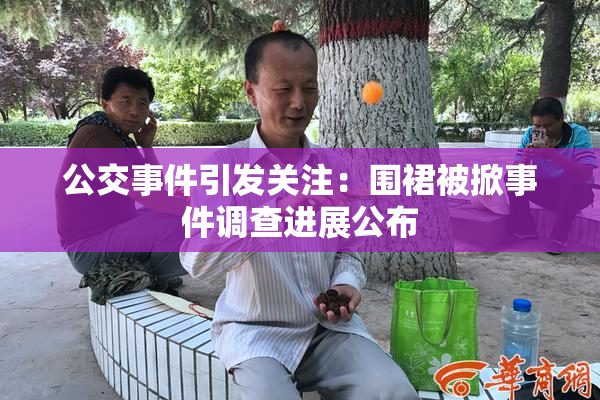 公交事件引发关注：围裙被掀事件调查进展公布