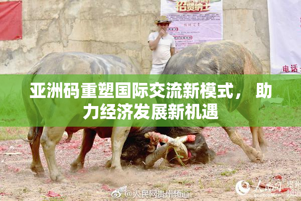 亚洲码重塑国际交流新模式， 助力经济发展新机遇