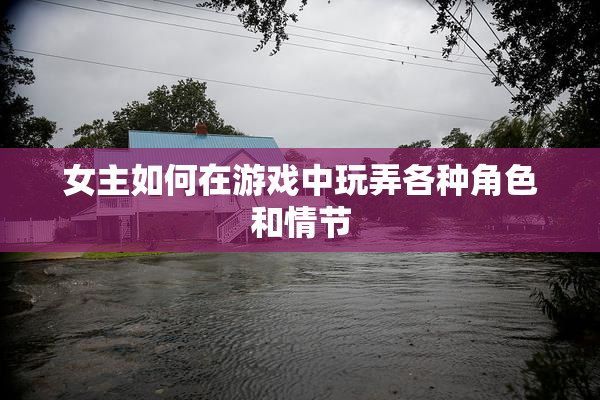 女主如何在游戏中玩弄各种角色和情节