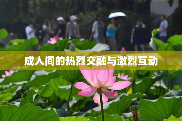 成人间的热烈交融与激烈互动