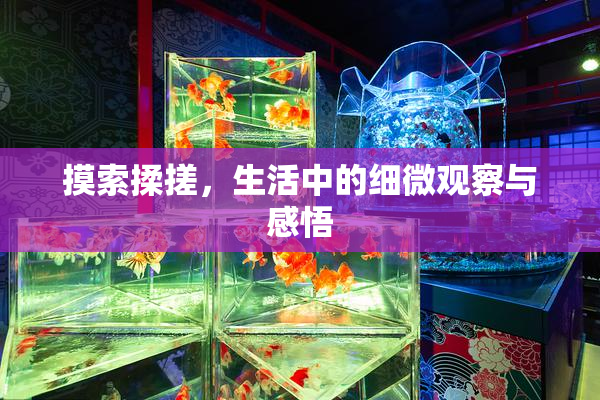 摸索揉搓，生活中的细微观察与感悟