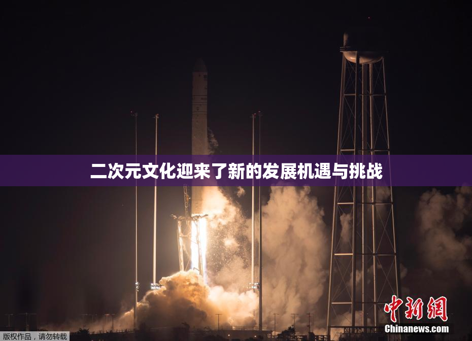 二次元文化迎来了新的发展机遇与挑战