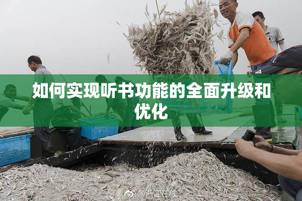 如何实现听书功能的全面升级和优化
